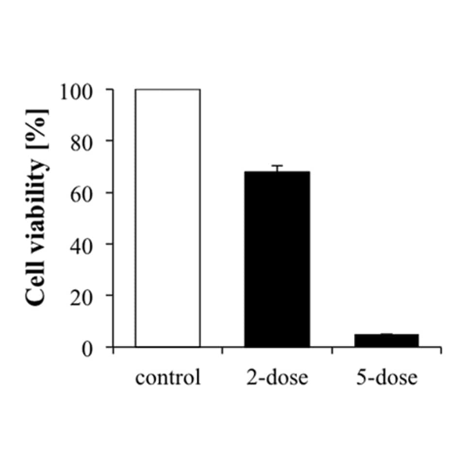 Cell Viability